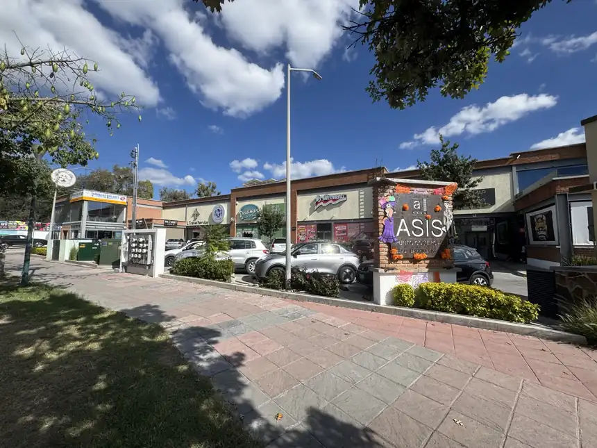 Fachada de Asís Punto Comercial: locales con letreros, estacionamiento al frente y el letrero de la plaza